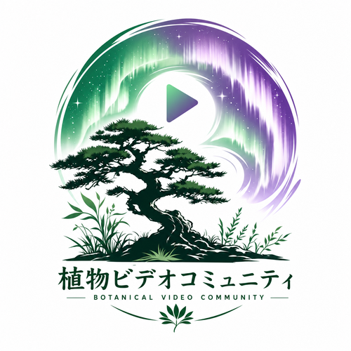 玩物社区